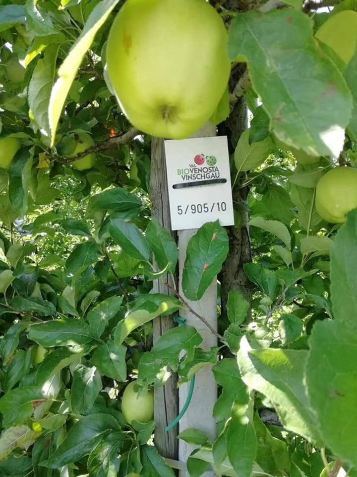 Gasthaus Weisskugel Hotell Malles Venosta Exteriör bild